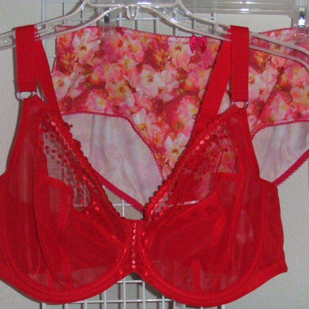 Elomi MATILDA Red Mesh Bra & Goddess KAYLA Panty - Picture 11 of 11